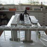 Ensayo de Laboratorio – Terral Santiago