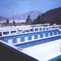 POST DECANTADOR PLANTA EL SOLDADO