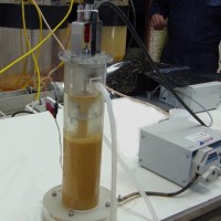 Prueba de Clarificación